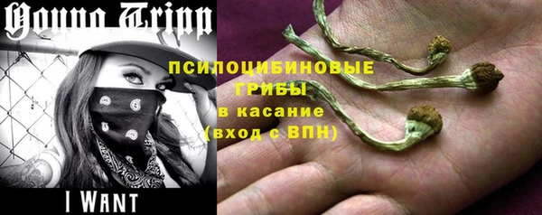 МДПВ Бронницы