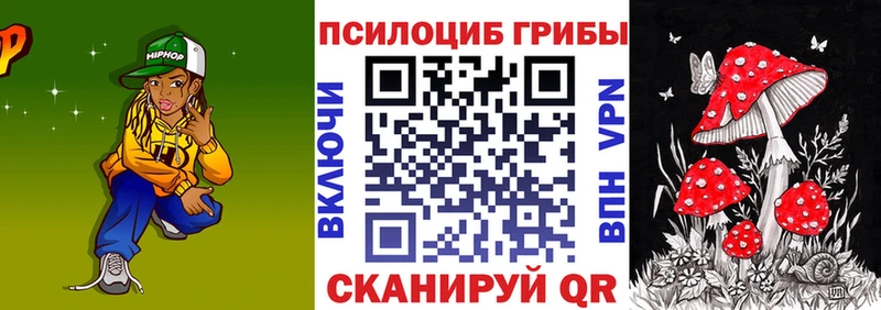 наркотики  Новоульяновск  shop состав  Псилоцибиновые грибы ЛСД 